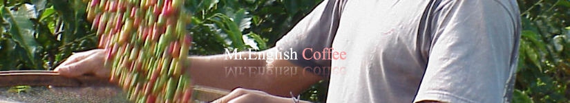 美味しい自家焙煎珈琲豆の専門店。世界中から最高級のコーヒー豆を集めコーヒーの種類も豊富。ギフト用に珈琲豆をお探しの方/プロの焙煎士が焙煎した本格的珈琲豆をお探しの方/挽きたて新鮮な珈琲豆をお探しの方ミスターイングリッシュコーヒーがお役に立ちます。